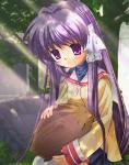 tobira_39-jjpg