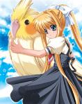 tobira_42-jjpg