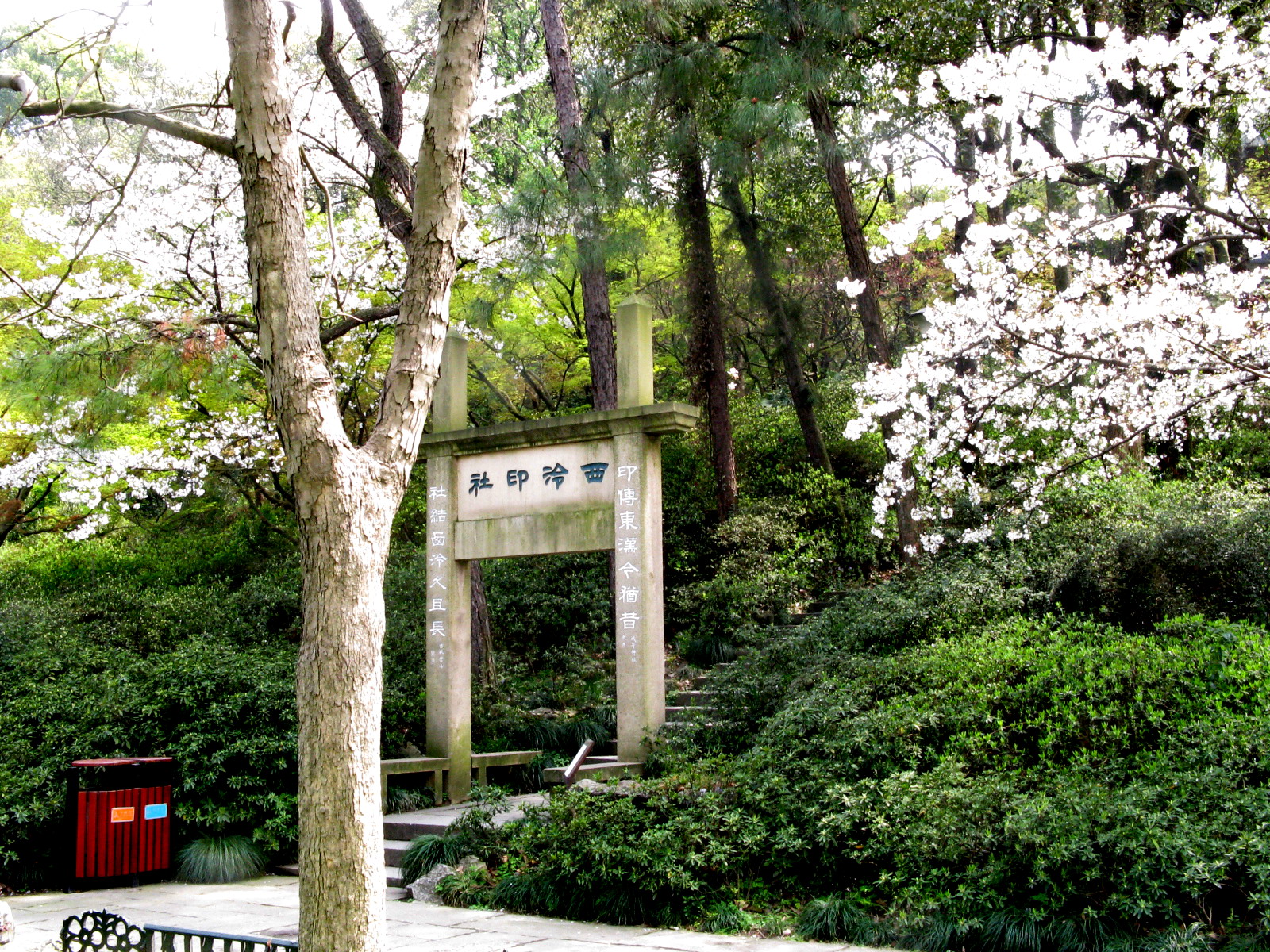 白鳥の一