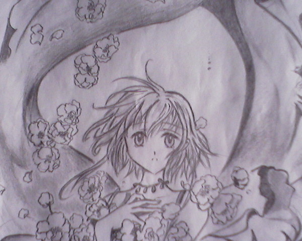 sakurajpg