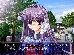 杏1jpg