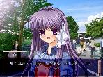 杏2jpg