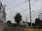 200862422241613jpg