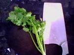 IMG0334Ajpg