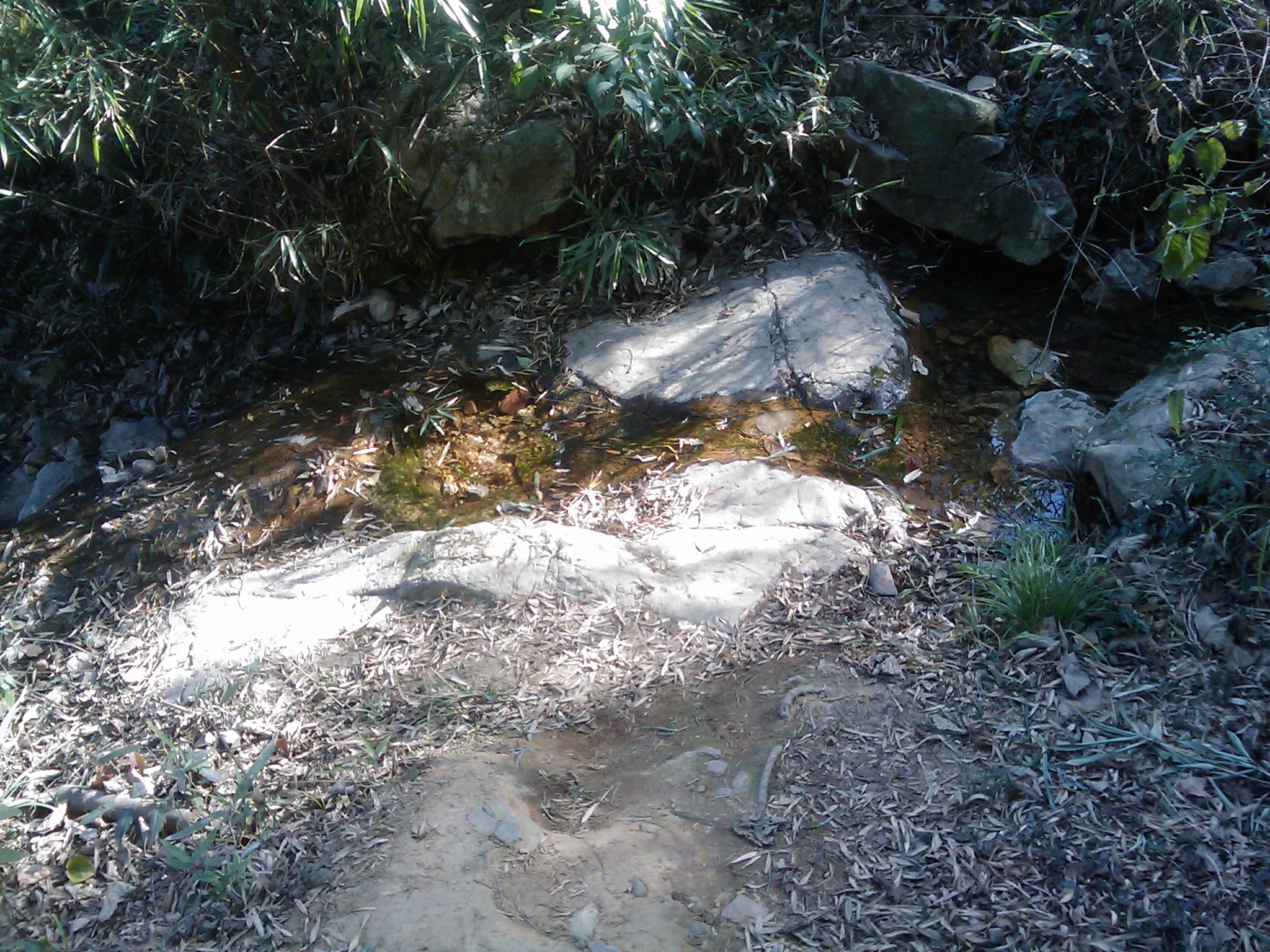 IMAGE_057jpg