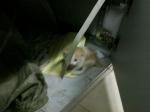 2011-03-22_18-24-58_