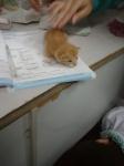 201103221551jpg