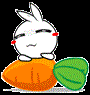 趴萝卜gif