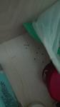 IMG20160525214325jpg