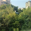 IMG_20250802_174832j